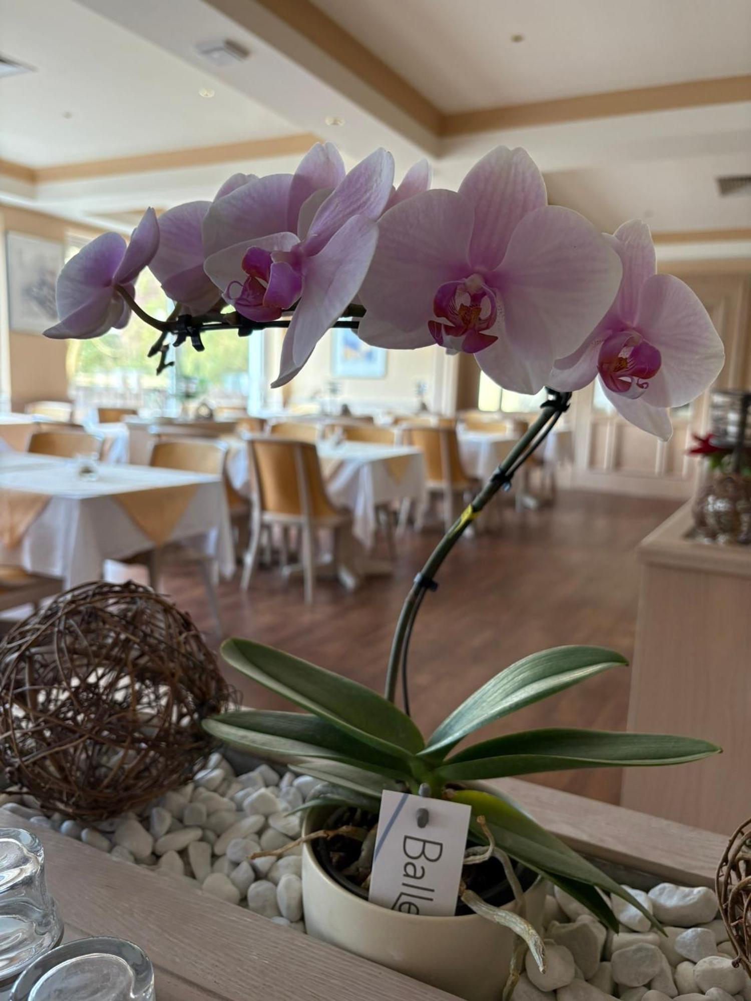 Hotel Kieferneck Bad Bevensen Ngoại thất bức ảnh