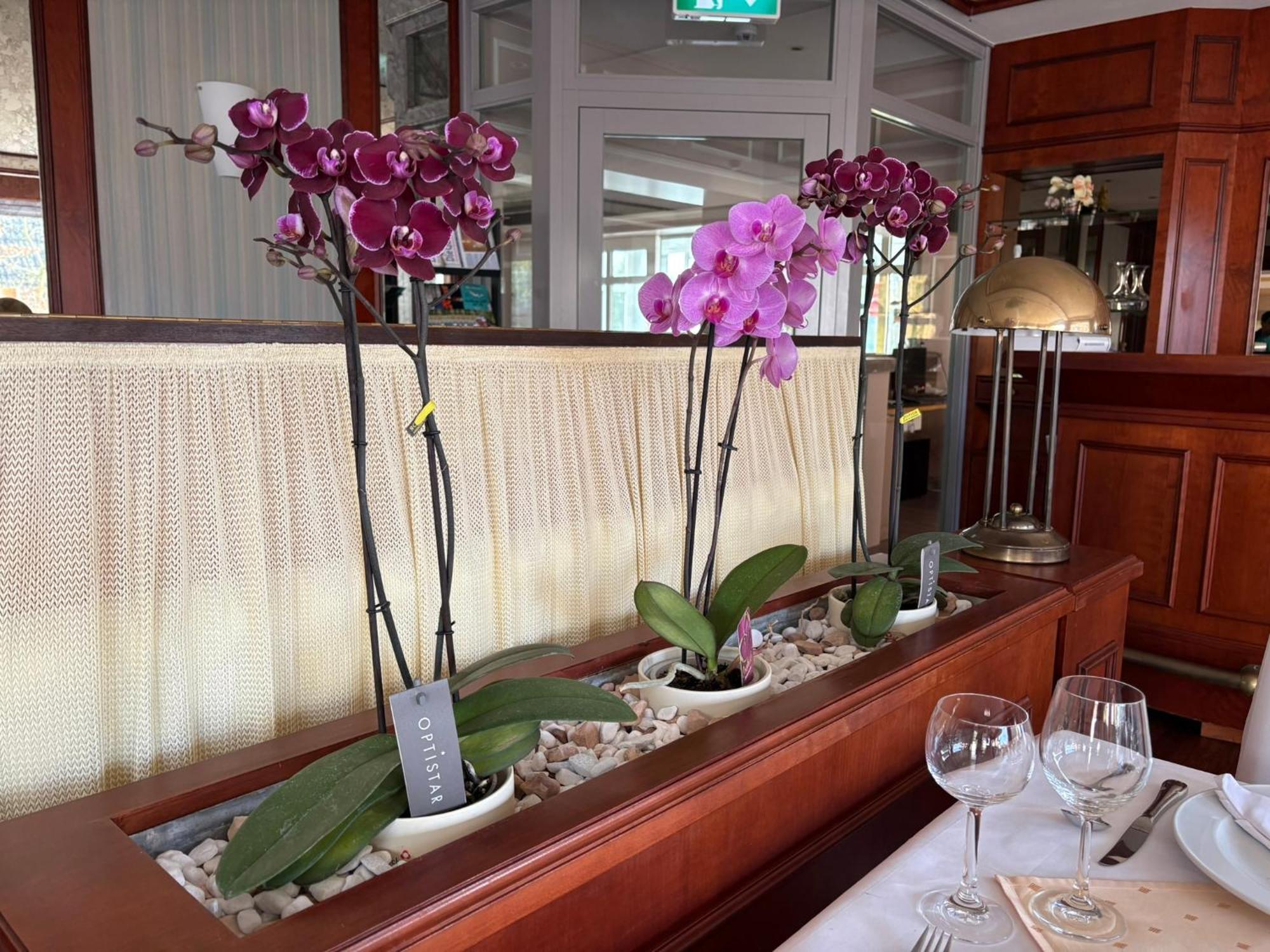 Hotel Kieferneck Bad Bevensen Ngoại thất bức ảnh